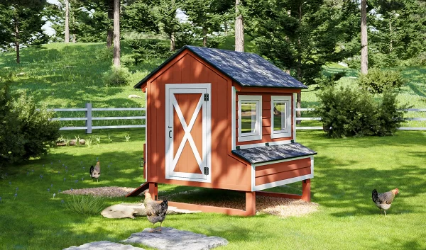 6x6 Chicken Coop For 12 Chickens